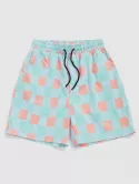 Striped Plaid Drawstring Vacation Shorts